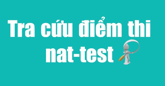 tra-cuu-ket-qua-thi-nat-test-3