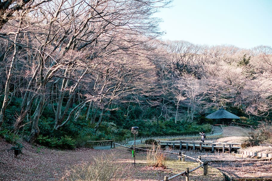 Koyasan