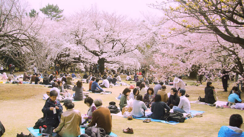 hanami